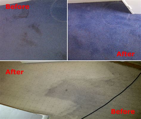Sure-Chem Carpet Cleaners